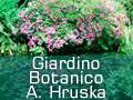 Giardino Botanico Gardone
