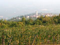 Valpolicella