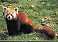 Parco Natura Viva